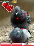 Download mobile theme animates love birds