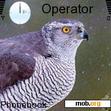 Download mobile theme bird