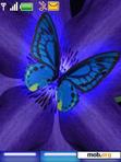 Download mobile theme animated butterfly