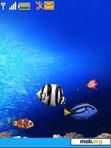 Download mobile theme animated aquarium