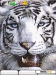 Download mobile theme animated tiger