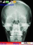 Download mobile theme a horror X-ray