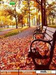 Скачать тему autumn chair