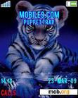 Download mobile theme Baby Tiger