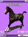 Download mobile theme Black Horse