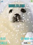 Download mobile theme Baby Seal