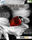 Download mobile theme red bugs