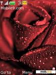 Download mobile theme Deep Red Rose