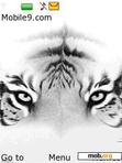 Download mobile theme White Tiger