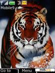 Download mobile theme bangal tiger