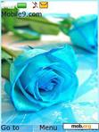 Download mobile theme blue rose