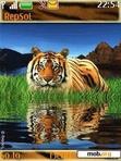 Download mobile theme ANIMATED TIGER
