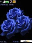 Download mobile theme blue roses