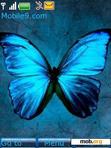 Скачать тему Blue butterfly