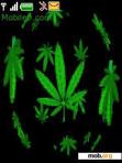 Download mobile theme marihuana