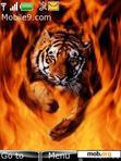 Download mobile theme tiger