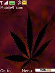 Download mobile theme marihuana