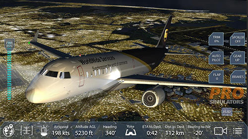 Pro flight simulator NY скриншот 1