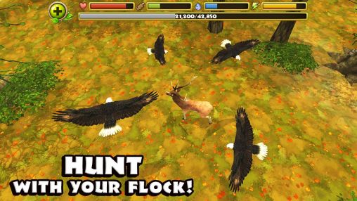 Eagle simulator pour Android