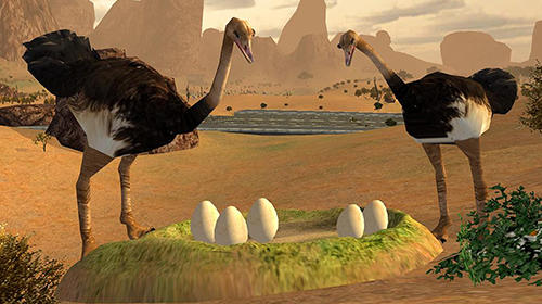 Ostrich bird simulator 3D für Android