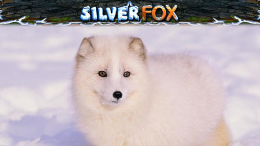 Silver fox slot icon
