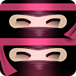 The last ninja twins icono