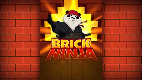 Brick ninja icon