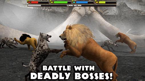 Ultimate lion simulator screenshot 1