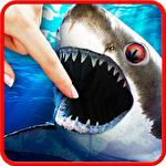 Shark smasher icono