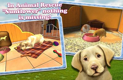  PetWorld 3D: My Animal Rescue in English