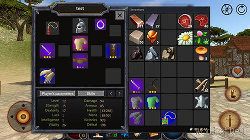 World of rest: Online RPG captura de pantalla 1