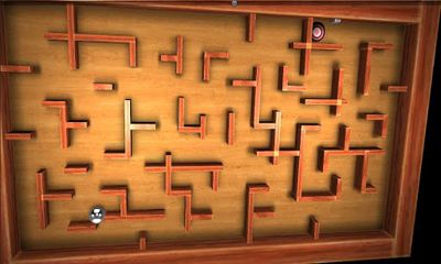 Crazy Labyrinth 3D screenshot 1