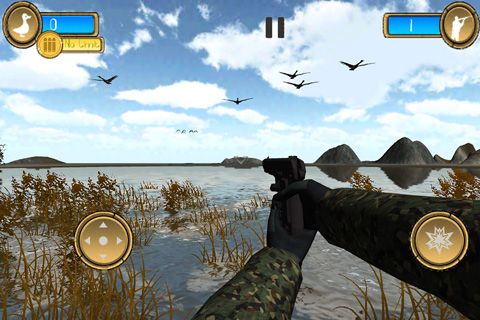  Le chasseur aux canards 3D