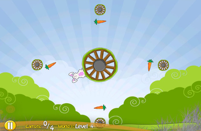  Bunny Spin