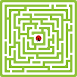 Maze king icon