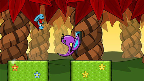 Pauli's adventure island screenshot 1