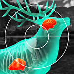Let's hunt: Hunting games Symbol
