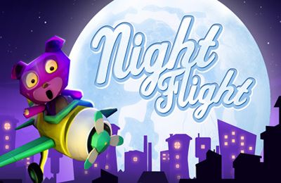 logo Night Flight