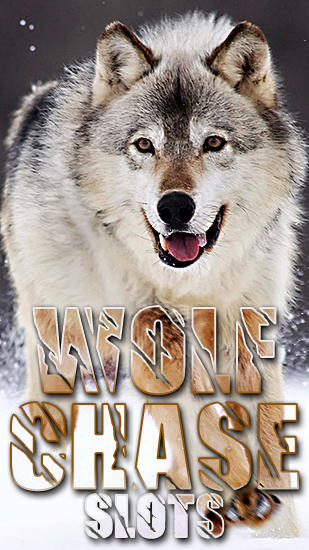 Wolf chase slots capture d'écran 1
