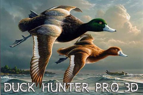 logo Duck hunter pro 3D