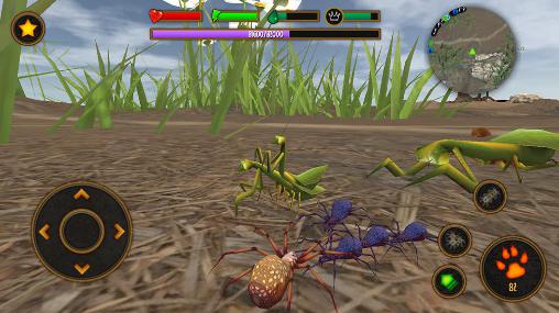Life of spider for Android