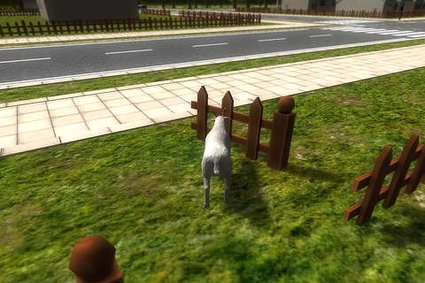 日本語のCrazy goat 