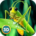 Grasshopper insect simulator ícone