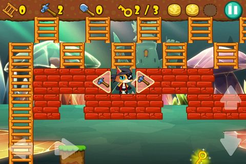 Pirate cat for iOS devices