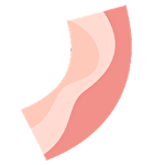 Bacon: The game icono