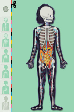  The Human Body by Tinybop на русском языке