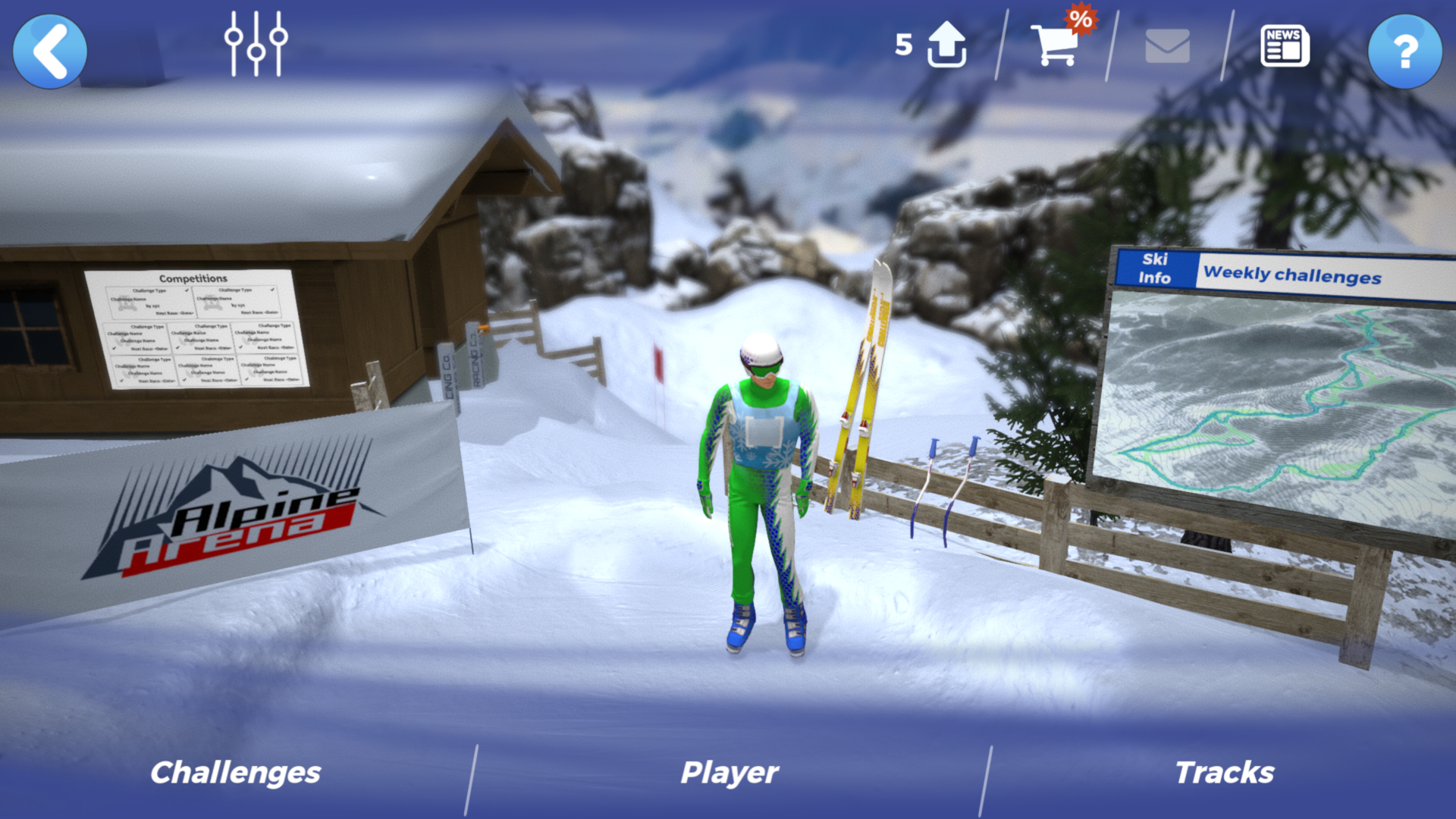 Alpine Arena screenshot 1