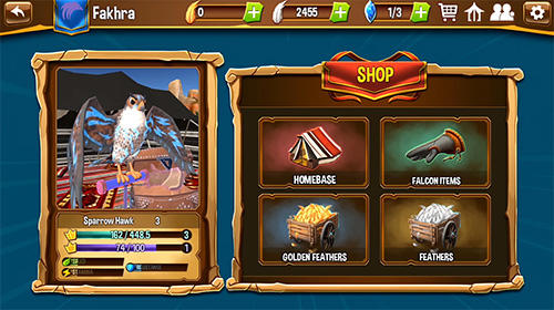 Falcon valley multiplayer race para Android