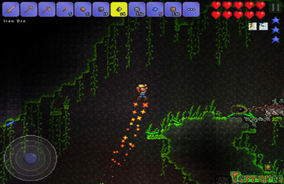  Terraria