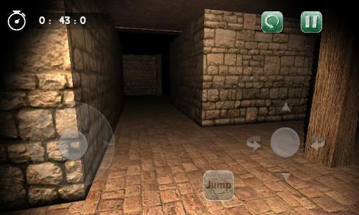 Maze mania 3D: Labyrinth escape captura de pantalla 1